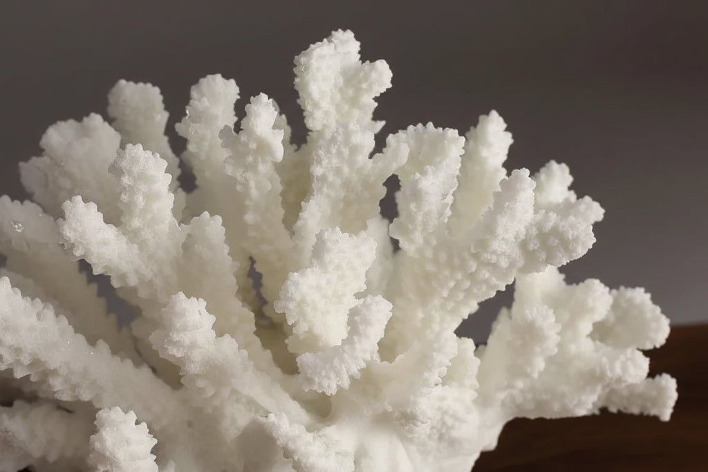Escultura Decorativa Coral Artificial