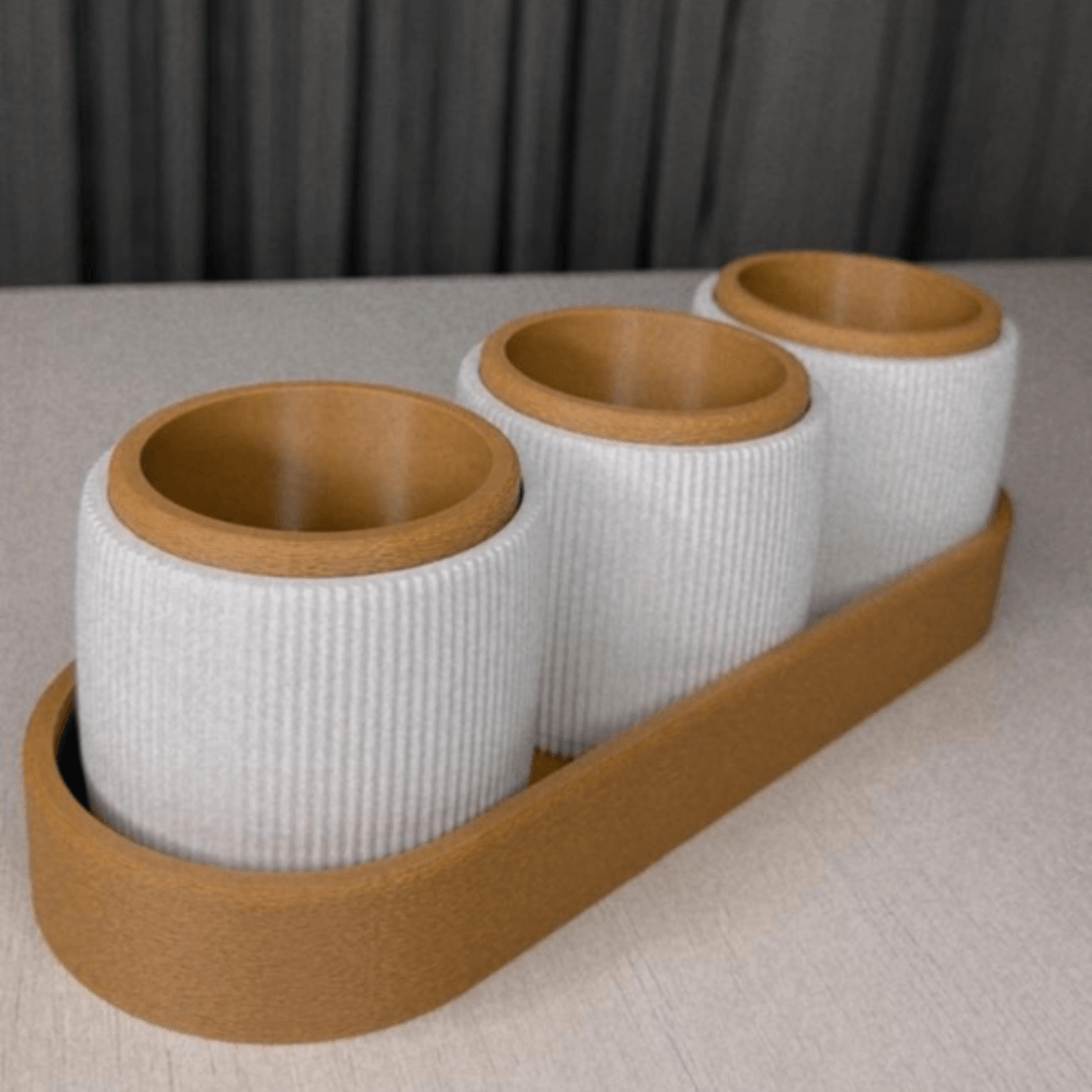 Kit Trio de Vasos Minimalistas com Bandeja – Suculentas e Cactos