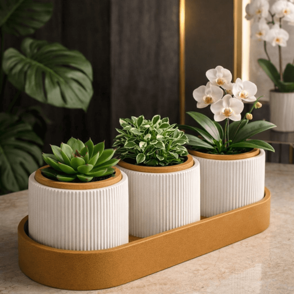 Kit Trio de Vasos Minimalistas com Bandeja – Suculentas e Cactos