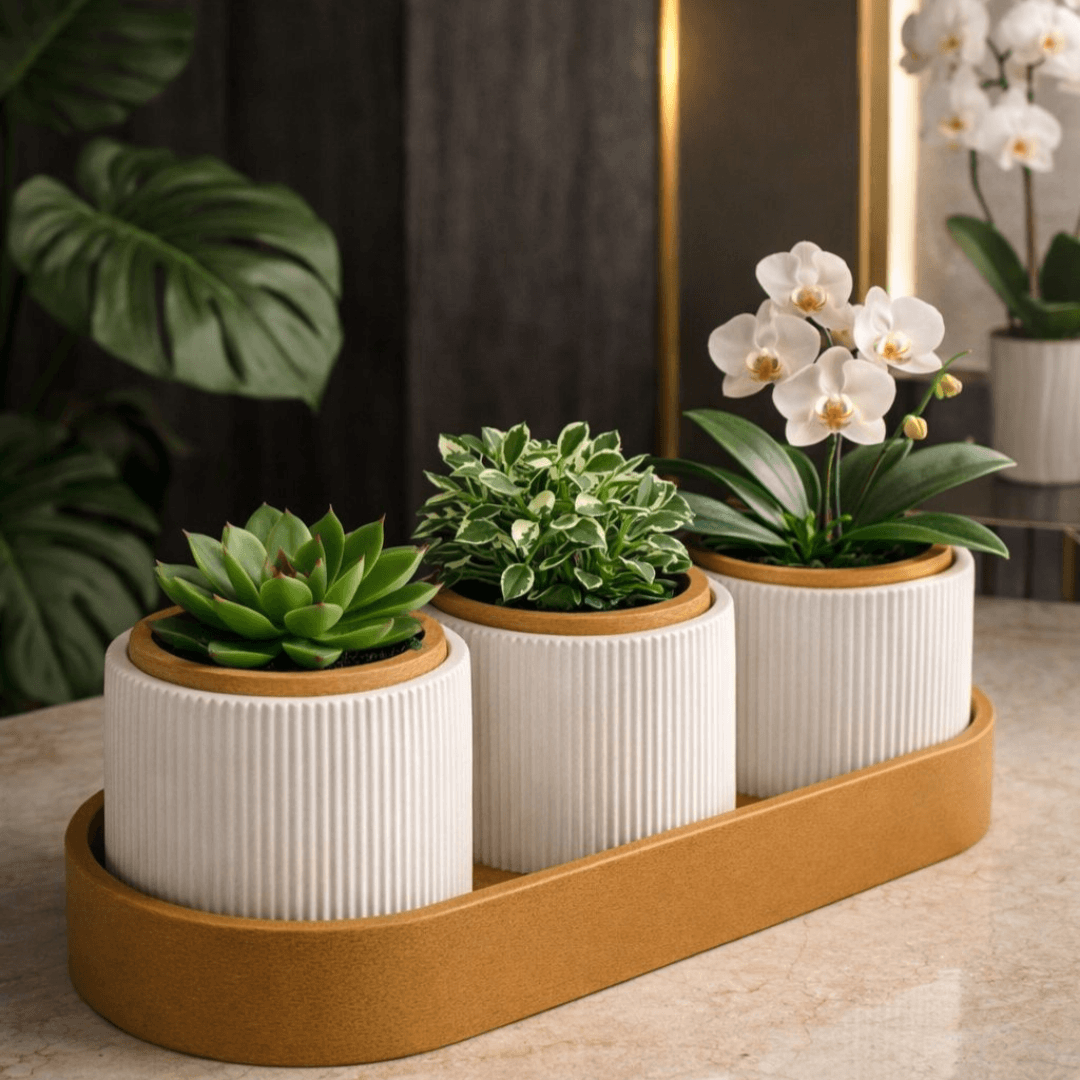 Kit Trio de Vasos Minimalistas com Bandeja – Suculentas e Cactos