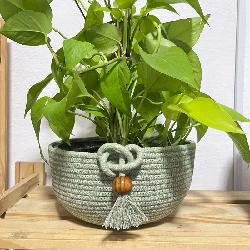 Cachepot cuia de corda costurado