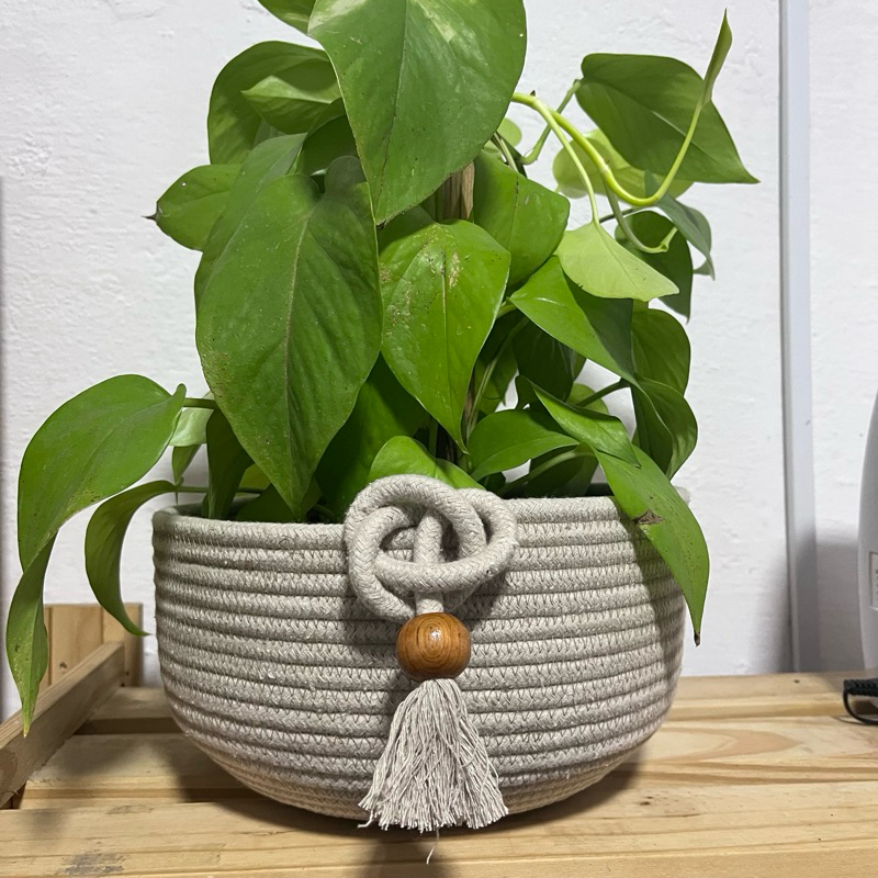 Cachepot cuia de corda costurado