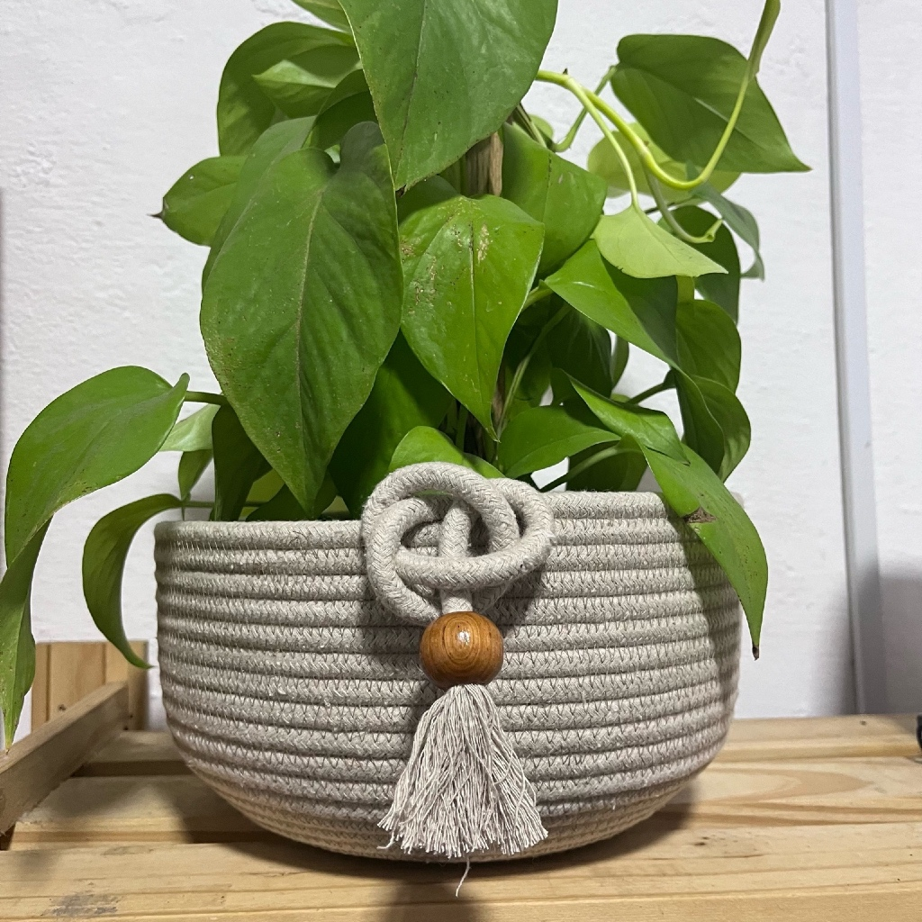 Cachepot cuia de corda costurado