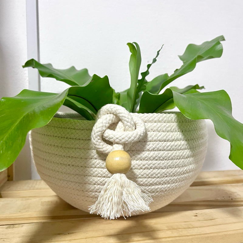Cachepô de corda natural off-white com samambaia exótica e tassel branco em superfície madeira