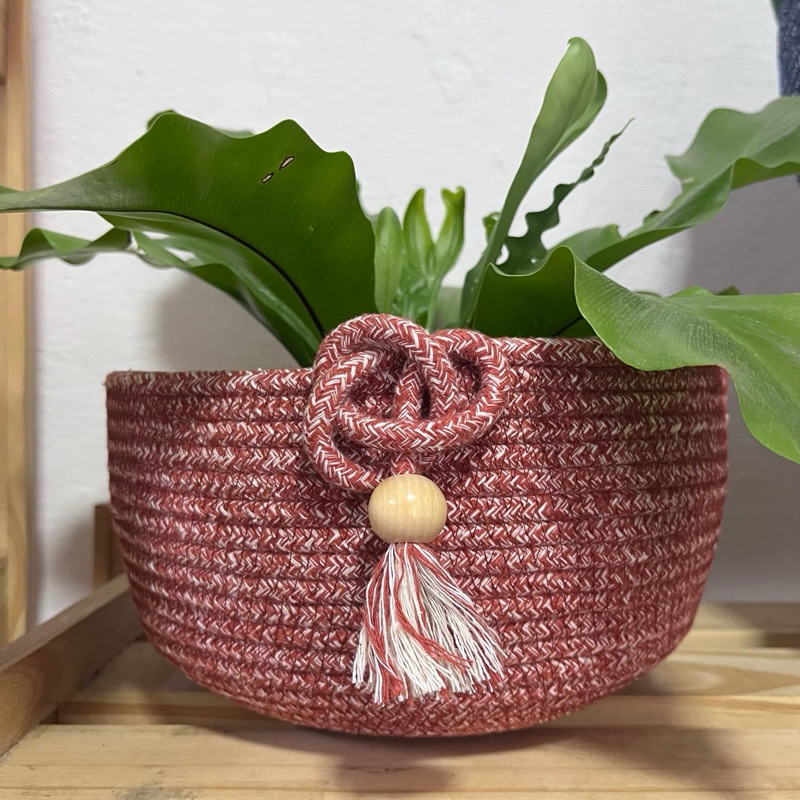 Cachepô de corda terra cota com samambaia e tassel mesclado sobre prateleira de madeira