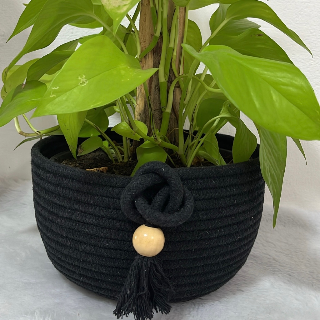 Cacheô de algodão trançado decorativo para vasos de plantas internas