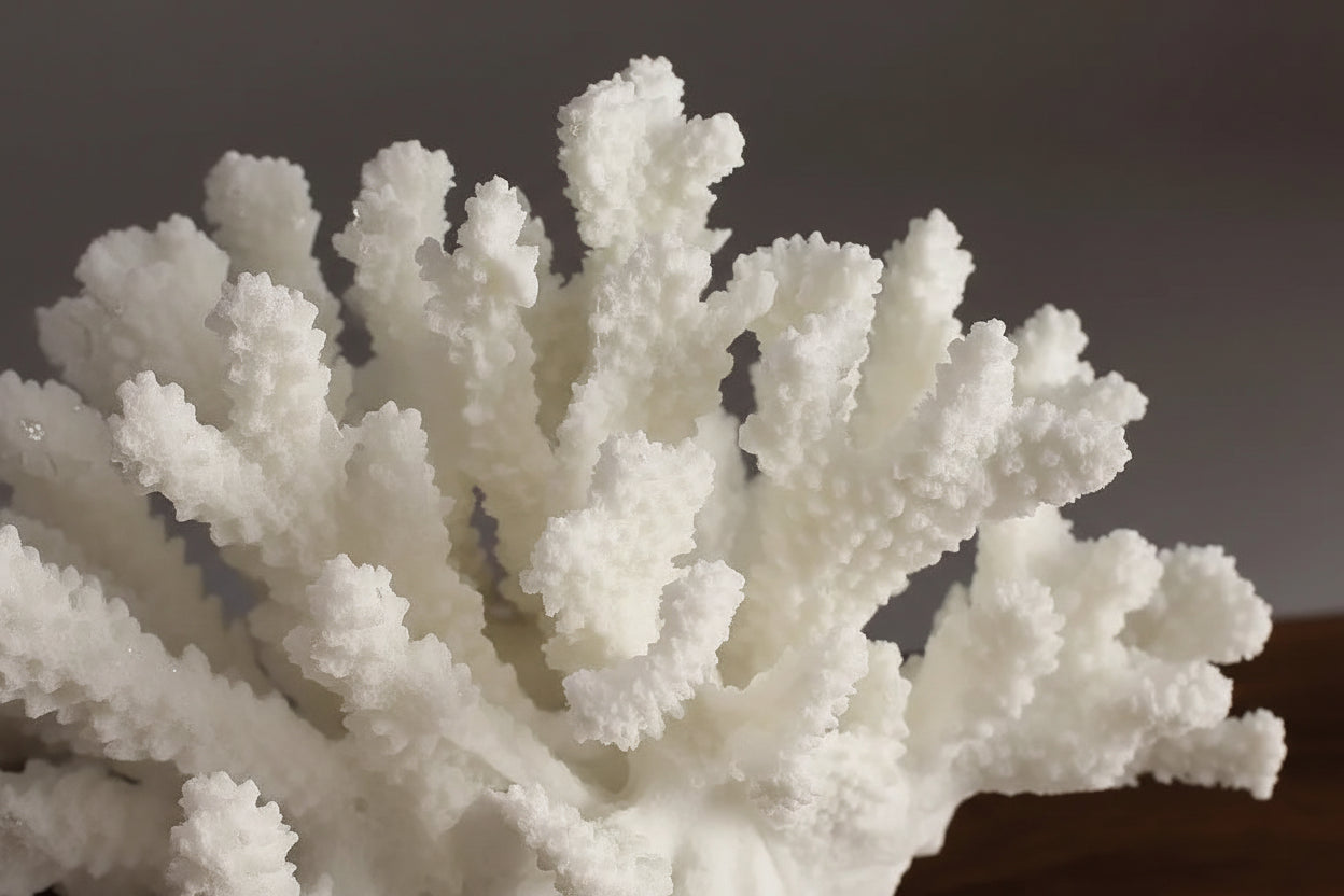 Adicione charme à sua decoração com a Escultura Decorativa Coral Artificial.