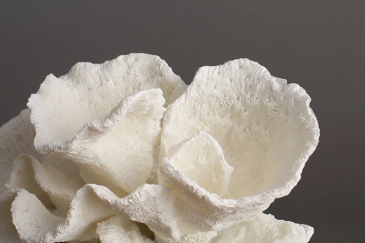 Adicione charme à sua decoração com a Escultura Decorativa Coral Artificial.